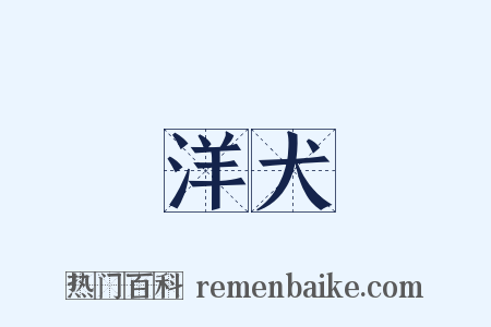 洋犬是什么意思的图片